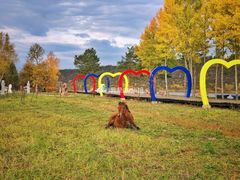 -北极村旅游风景区