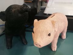 -WHEN PIGS FLY当猪飞