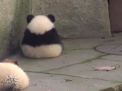 -辽宁大厦