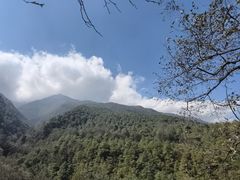 -苍山感通索道