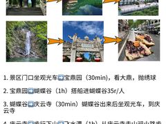 -鼎香皇高佬苏裹蒸粽