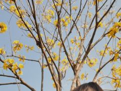 -光明刘冰乳鸽店(光明法政北路店)