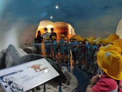 -京师阳光幼儿园(昌平园)