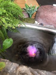 -花间禅净·瑜伽