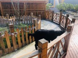 -三分地生态园·儿童乐园