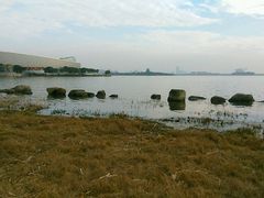 -金鸡湖景区