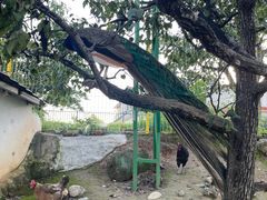 -丽泽山庄·生态怀柔菜·虹鳟鱼(红螺寺店)