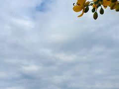 -抚仙湖禄充风景区