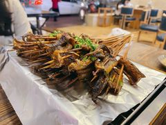 鳝鱼-晓靖轩烧烤(沙河风情店)