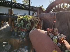 -慢丽江·云南野生菌土鸡锅(西山店)