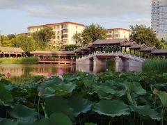 -西海子公园