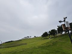 -小麦岛公园