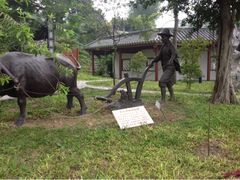 -广州神农草堂中医药博物馆