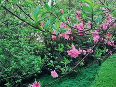 -南山植物园