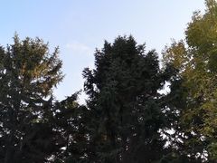 -黑龙江省森林植物园