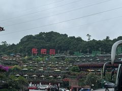 -枇杷园食为鲜火锅(南山店)