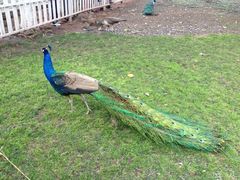 iphone_upload_pic-西昌邛海宾馆