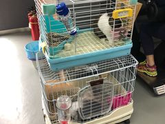 -UltraForce超源健身私教工作室(长楹天街精品店)