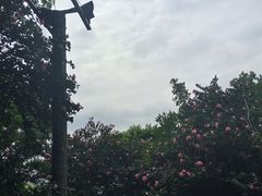 -烟台山景区