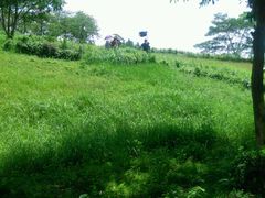 android_upload_pic-广州世界大观