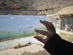-栾川竹海野生动物园