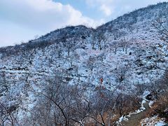 -香山公园