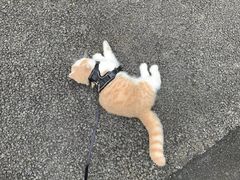 -大桶大足浴(金桥店)