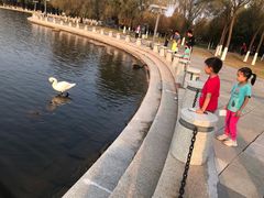 -长春世界雕塑园冰雪艺术天地