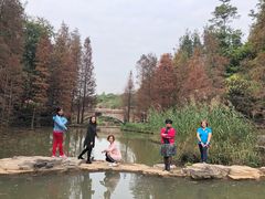 -云溪植物园