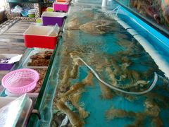 -港畔赶海蒸汽海鲜烧烤自助(仙螺岛店)