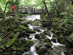 -青峰峡国家森林公园