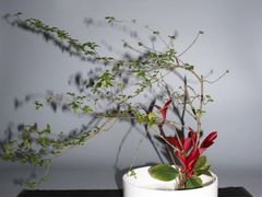 -花中城·杭帮菜·粤菜·海鲜火锅(清泰街店)