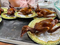 -麻奢鸽农庄·梦里水乡