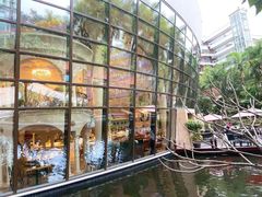 -Waterfall瀑布湾优健源(华侨城店)