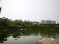-天鹅湖体育公园
