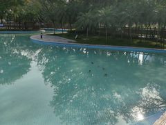 -海珠儿童公园