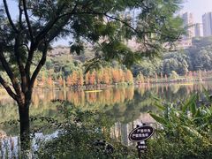 -重庆彩云湖湿地公园