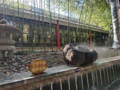 -观唐（国际）度假村温泉