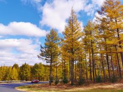 -塞罕坝国家级自然保护区