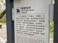 -广州市石门国家森林公园