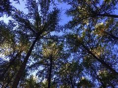 -硗碛藏寨·神木垒景区