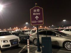 -迪士尼乐园停车场