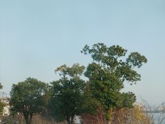 -金银湖国家城市湿地公园