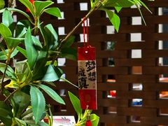 -HITEA嘆萃(北江新区店)