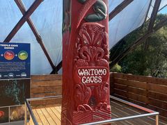 -怀托摩萤火虫洞