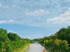 -上海海湾国家森林公园