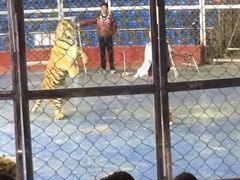 iphone_upload_pic-西安秦岭野生动物园