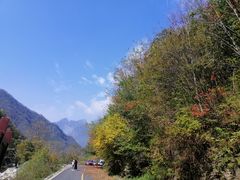 -少华山国家森林公园