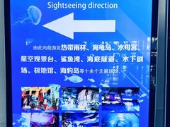 -泉城欧乐堡海洋极地世界