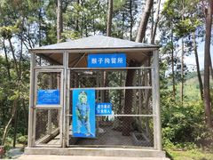 -千岛湖东南湖区